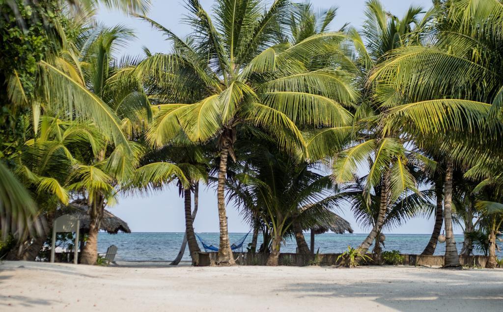 Cocotal Inn And Cabanas San Pedro  Kültér fotó